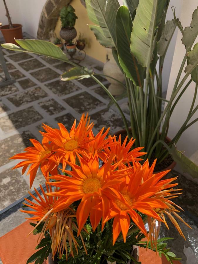 Corte La Rosa Nardò Екстериор снимка
